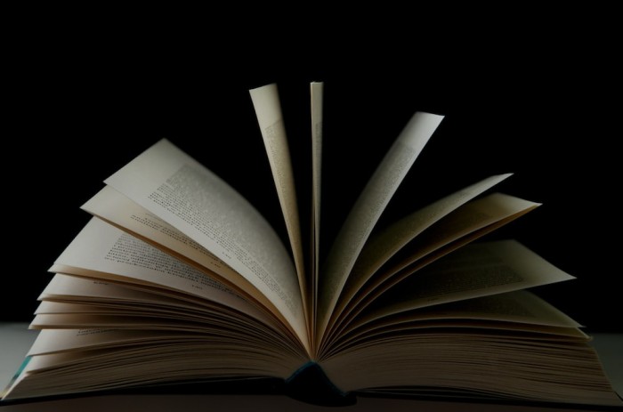book image